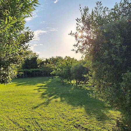 Apartman Doli Nedeščina エクステリア 写真