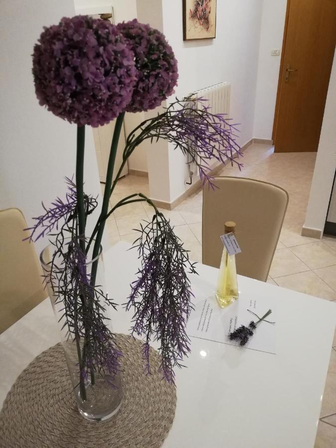 Apartman Doli Nedeščina エクステリア 写真